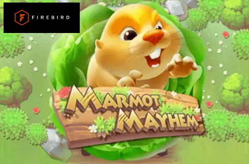 Marmot Mayhem